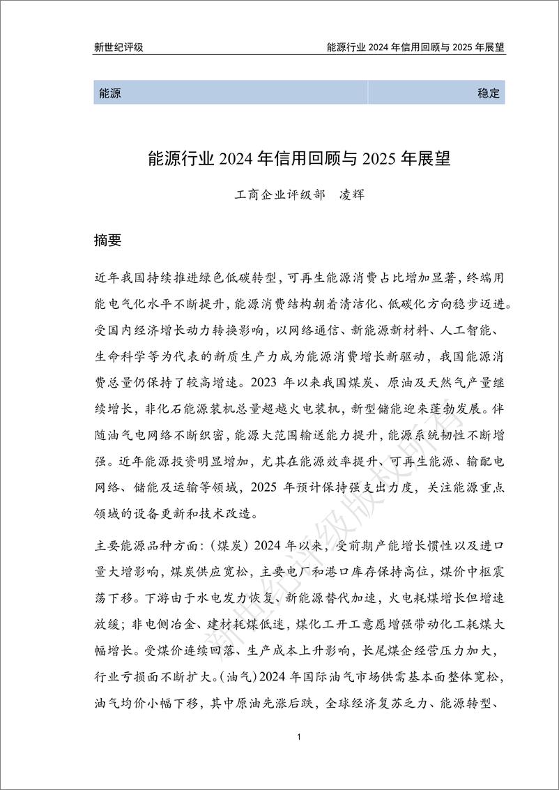 《新世纪资信评估-能源行业2024年信用回顾与2025年展望》 - 第1页预览图