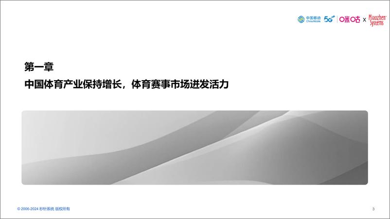 《2024中国体育营销价值与策略研究报告-秒针系统-60页》 - 第3页预览图