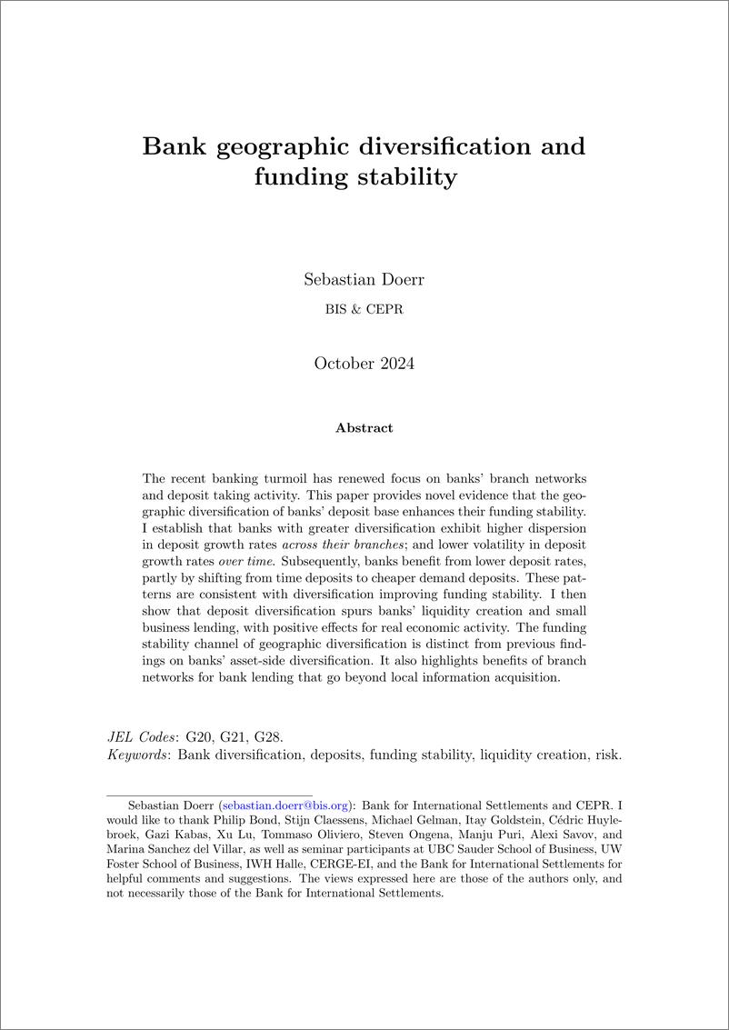 《国际清算银行-银行地域多元化和资金稳定性（英）-2024.10-75页》 - 第4页预览图
