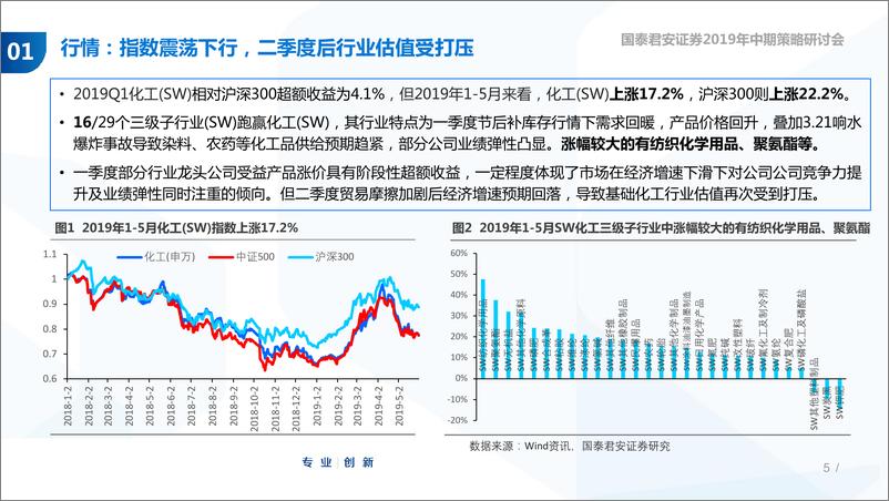 《基础化工行业2019年中期投资策略：景气下行，寻找业绩确定性-20190605-国泰君安-60页》 - 第6页预览图