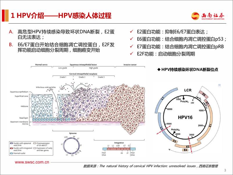 《医药行业HPV疫苗专题：大品种，未来空间可期-20230109-西南证券-24页》 - 第5页预览图