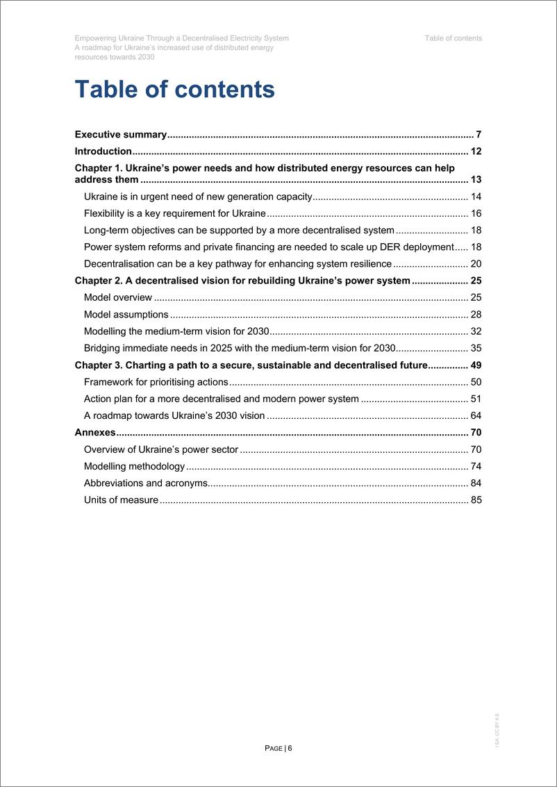 《国际能源署-通过分散的电力系统赋予乌克兰权力-乌克兰到2030年增加分布式能源使用的路线图（英）-2024-87页》 - 第6页预览图