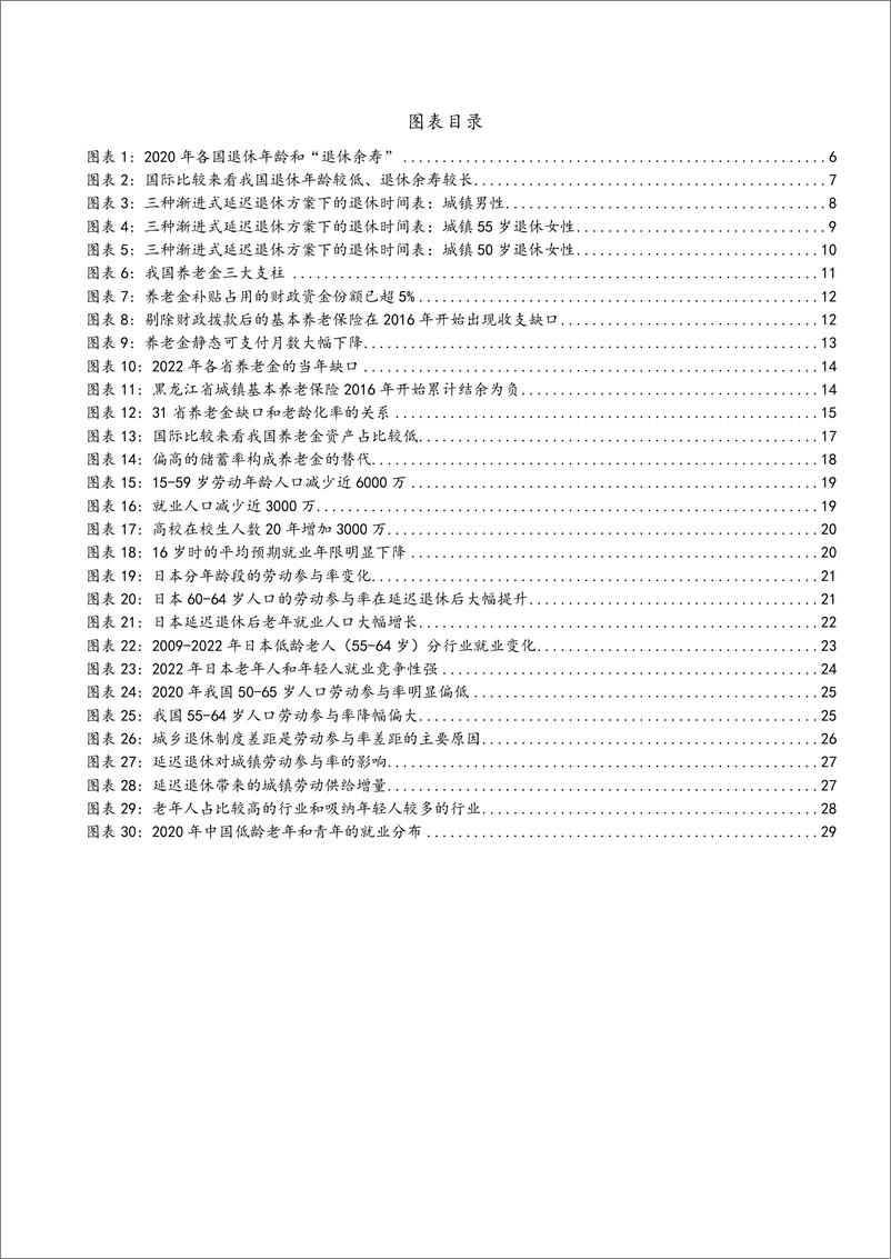 《2024日本延迟退休前后市场变化_我国延迟退休原因及对劳动市场影响分析.pdf 》 - 第3页预览图