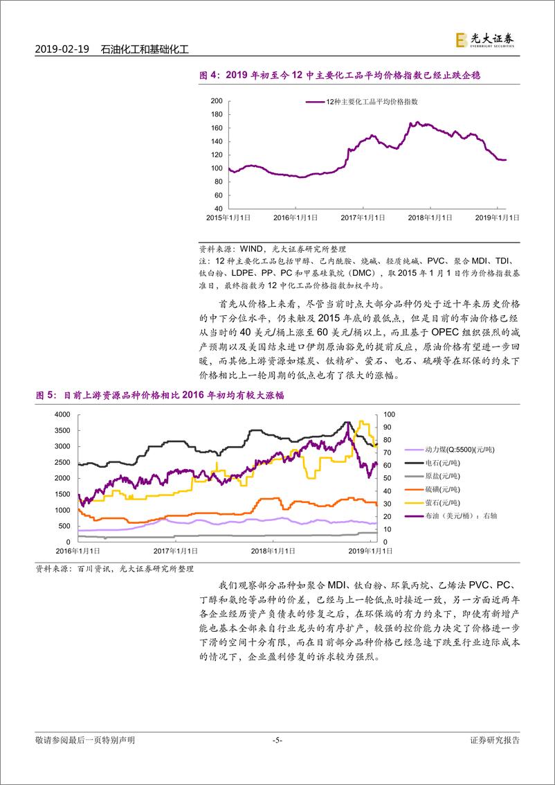 《石化化工行业跟踪报告：油价有望进一步回暖，关注悲观情绪释放下的化工品反弹-20190219-光大证券-11页》 - 第6页预览图