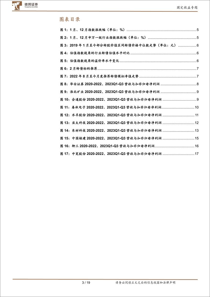 《24年2月转债配置观点及十大转债推荐：稳中求胜，待春来-20240202-德邦证券-19页》 - 第3页预览图