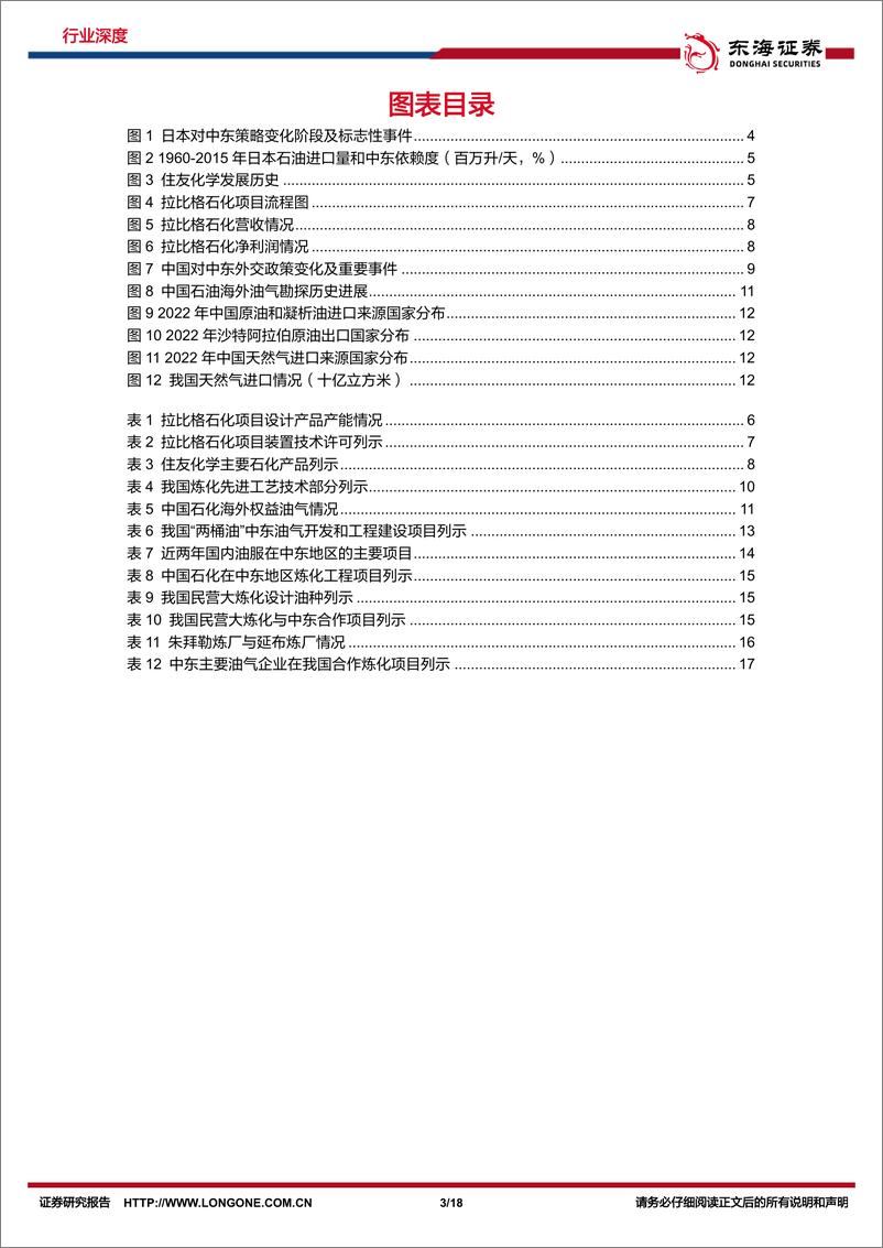 《化工系列研究（十八）：出海研究：从日本住友沙特拉比格炼化项目看我国炼化出海》 - 第3页预览图