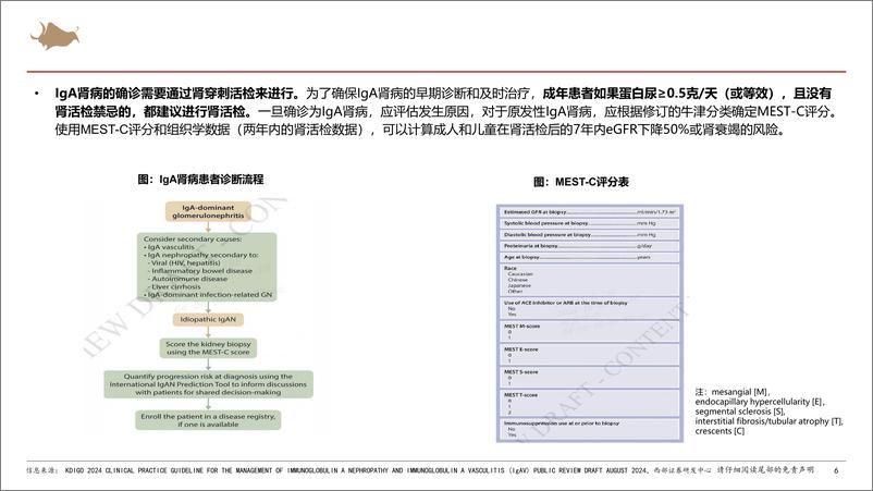 《IgA肾病行业报告：多项靶点临床试验进展积极，IgA肾病新药步入收获期-241223-西部证券-53页》 - 第6页预览图