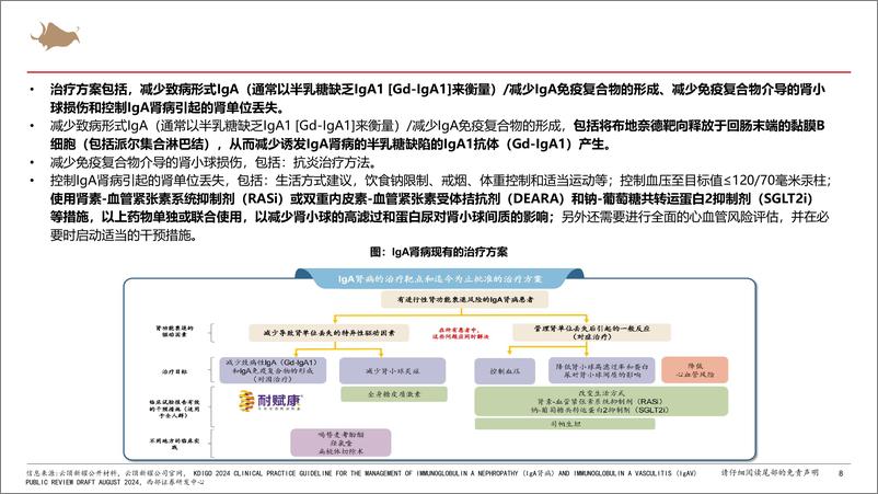 《IgA肾病行业报告：多项靶点临床试验进展积极，IgA肾病新药步入收获期-241223-西部证券-53页》 - 第8页预览图