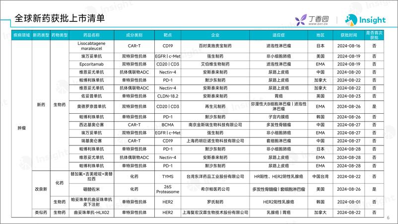 《丁香园_2024年8月全球新药月度报告-数据篇》 - 第5页预览图