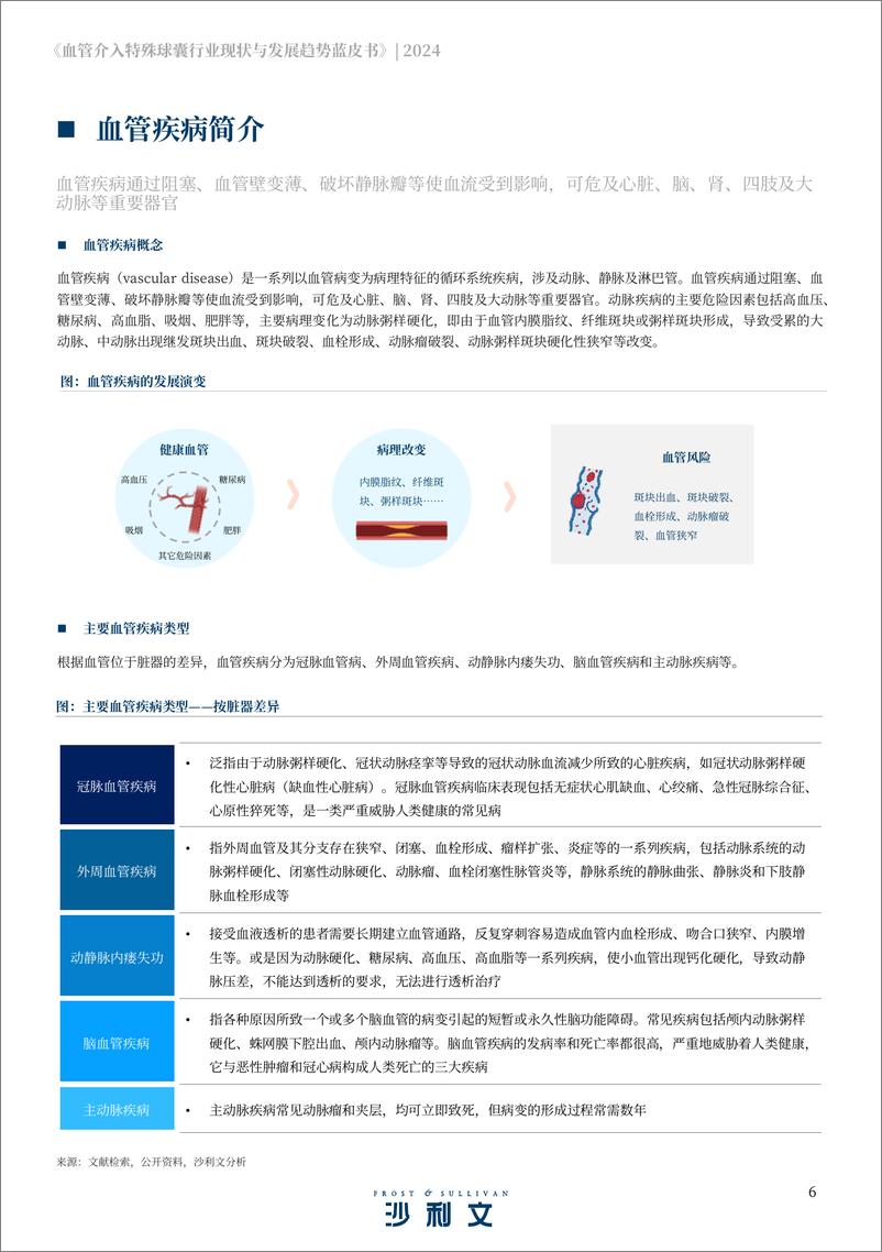 《血管介入特殊球囊行业现状与发展趋势蓝皮书》 - 第6页预览图