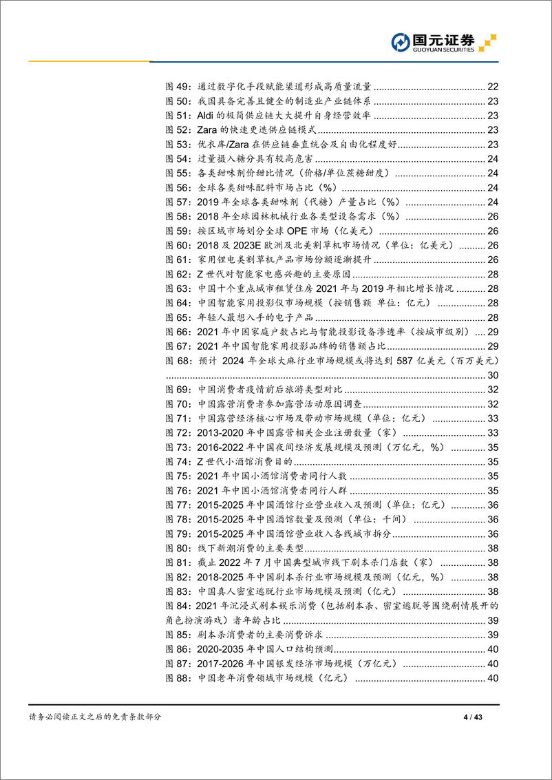 《2023年新零售行业投资策略报告：紧抓消费内生结构性变化，聚焦高成长优质赛道-20221223-国元证券-43页》 - 第5页预览图