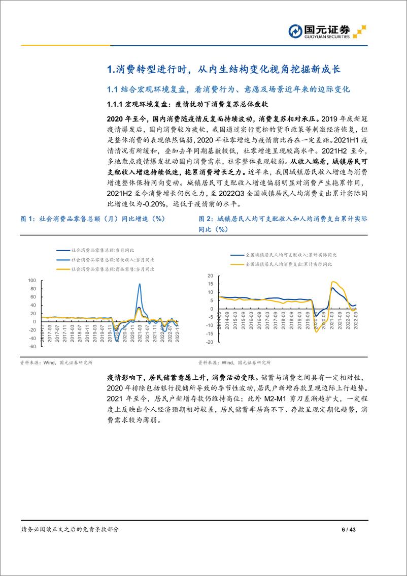 《2023年新零售行业投资策略报告：紧抓消费内生结构性变化，聚焦高成长优质赛道-20221223-国元证券-43页》 - 第7页预览图