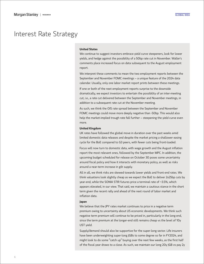 《Morgan Stanley Fixed-Global Macro Strategist Super Size Me-110224251》 - 第6页预览图