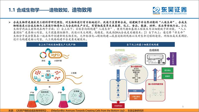 《医药行业合成生物学深度报告：合聚万物，成致未来-20230206-东吴证券-51页》 - 第6页预览图