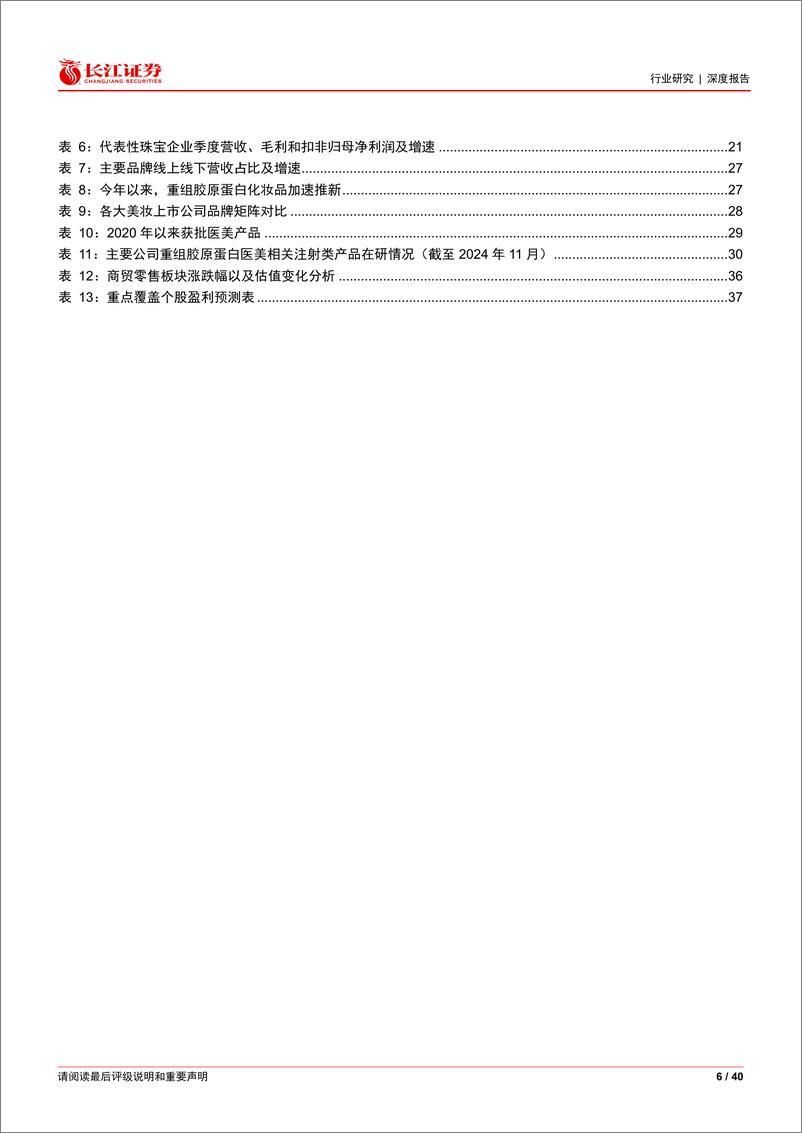 《商贸零售行业2025年度投资策略：从渠道增长迈向品牌增长-241224-长江证券-40页》 - 第6页预览图