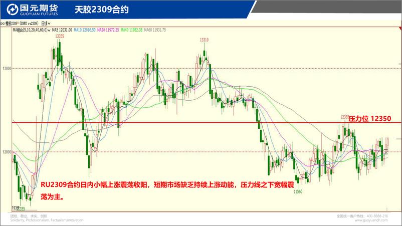 《国元点睛-20230615-国元期货-23页》 - 第6页预览图