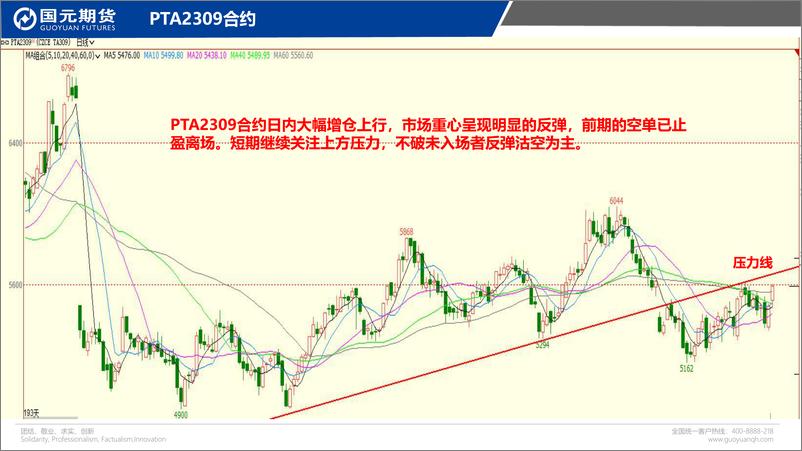 《国元点睛-20230615-国元期货-23页》 - 第7页预览图