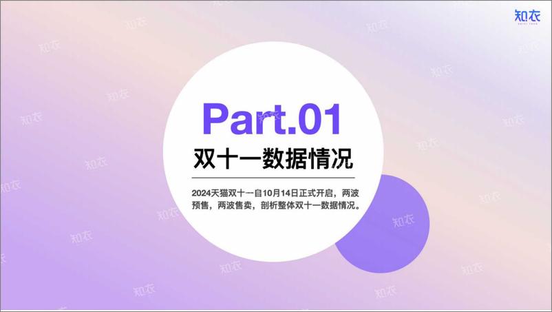 《淘宝天猫＋2024“双十一”女装销售复盘-29页》 - 第2页预览图