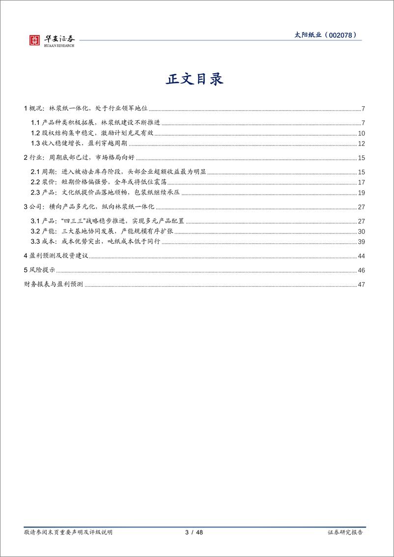 《华安证券-太阳纸业-002078-横向产品多元化，纵向林浆纸一体化》 - 第3页预览图