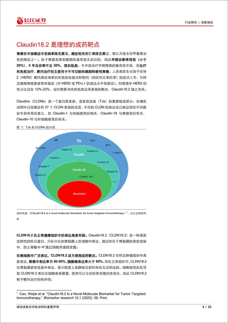 《制药行业聚焦Claudin18.2：国产企业领航全球研发，蓝海市场方兴未艾-240715-长江证券-23页》 - 第5页预览图