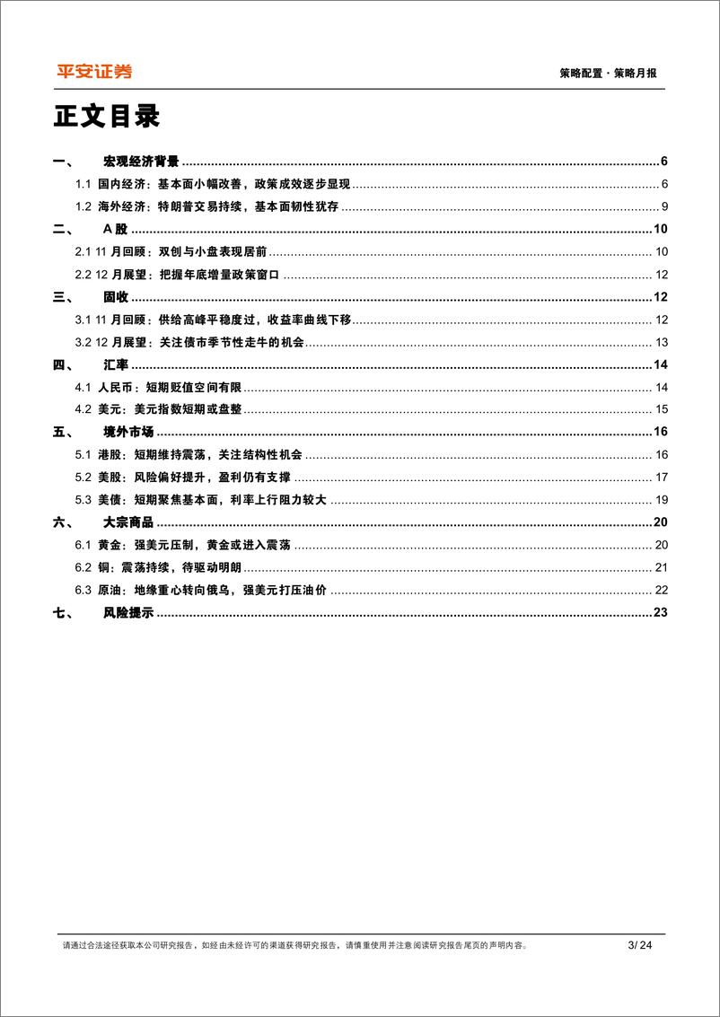 《多元资产月报(2024年12月)：国内政策效应渐显，特朗普2.0扰动海外市场-241204-平安证券-24页》 - 第3页预览图