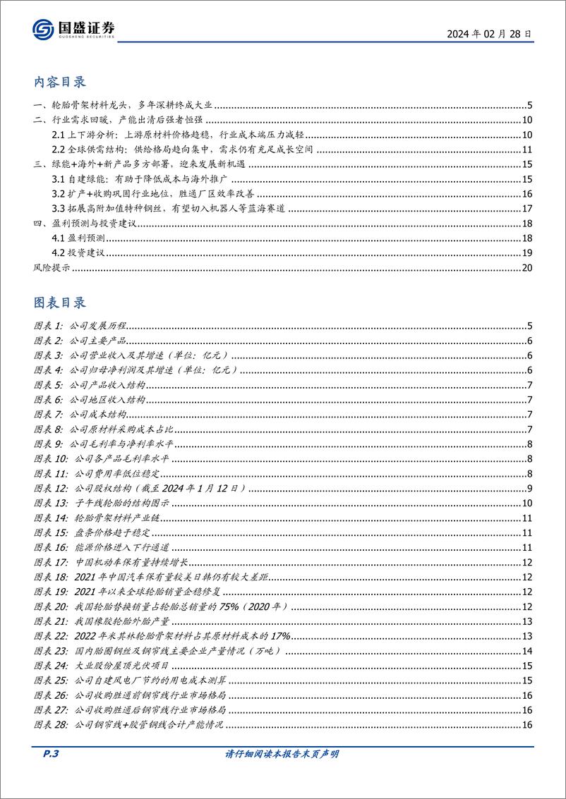 《深度报告-20240228-国盛证券-大业股份-603278.SH-成本优化蓄势待产品扩张初露峥211mb》 - 第3页预览图