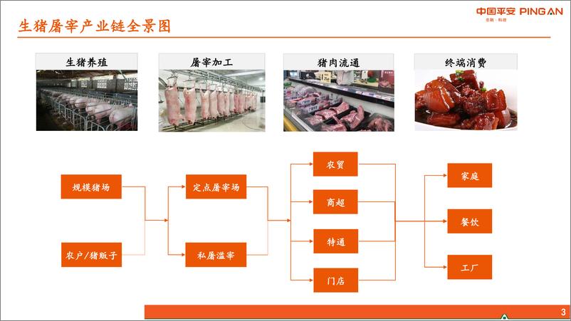 《食品饮料行业：生猪屠宰行业全景图-20190916-平安证券-26页》 - 第4页预览图