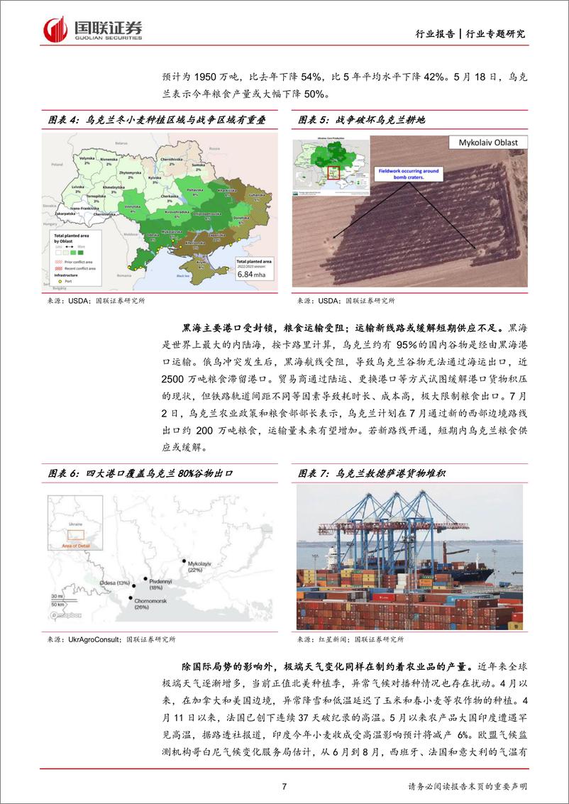 《农林牧渔行业：粮食危机未去，种业与种植业投资价值不减-20220724-国联证券-31页》 - 第8页预览图