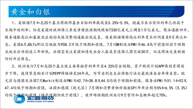 《贵金属月报（黄金与白银）：美国消费端通胀或出现反复，美联储9月加息与否仍不确定-20230802-宏源期货-28页》 - 第3页预览图