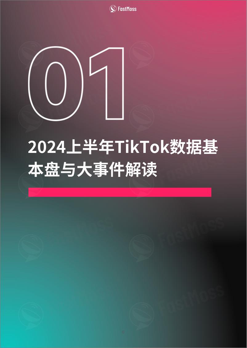 《2024上半年TikTok生态发展白皮书》 - 第6页预览图