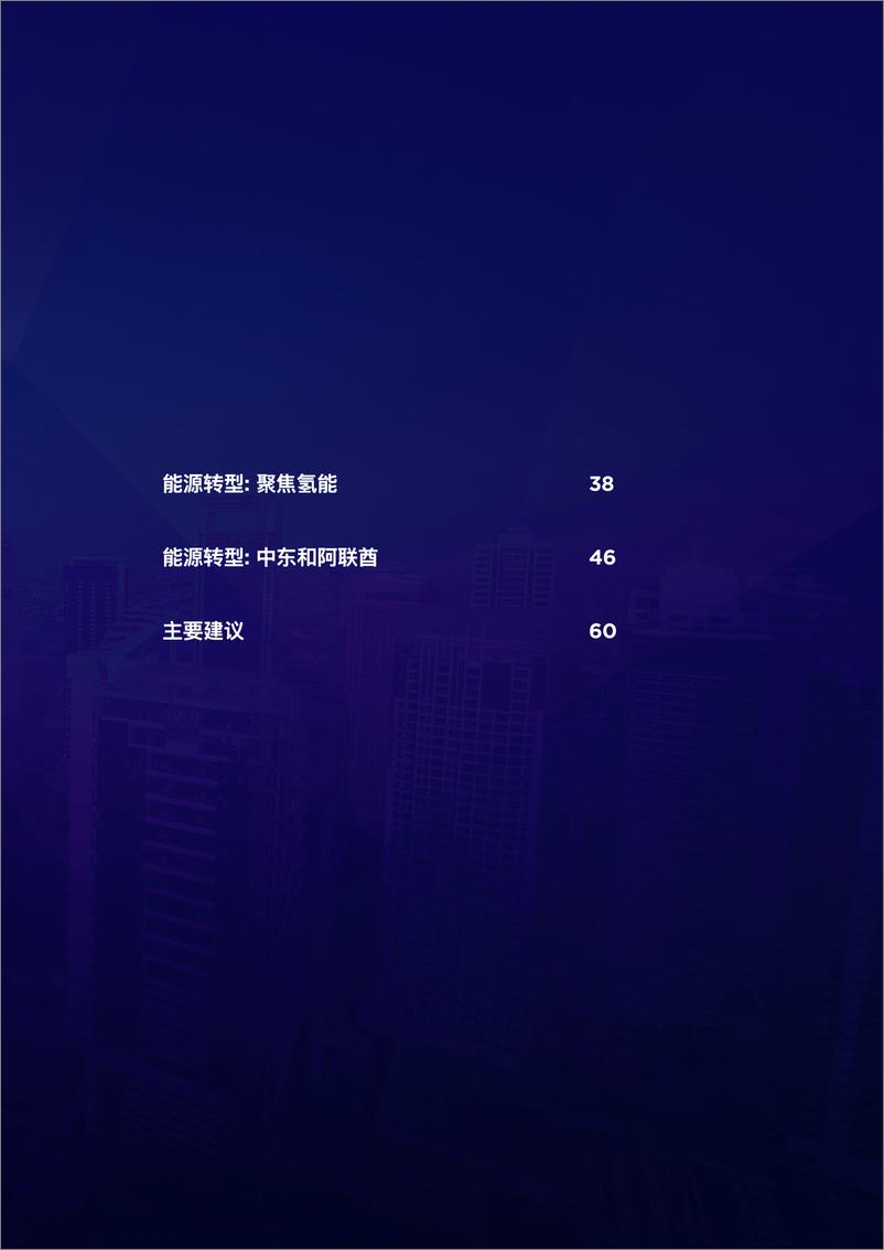 《2024贸易的未来-能源版报告-DMCC》 - 第3页预览图