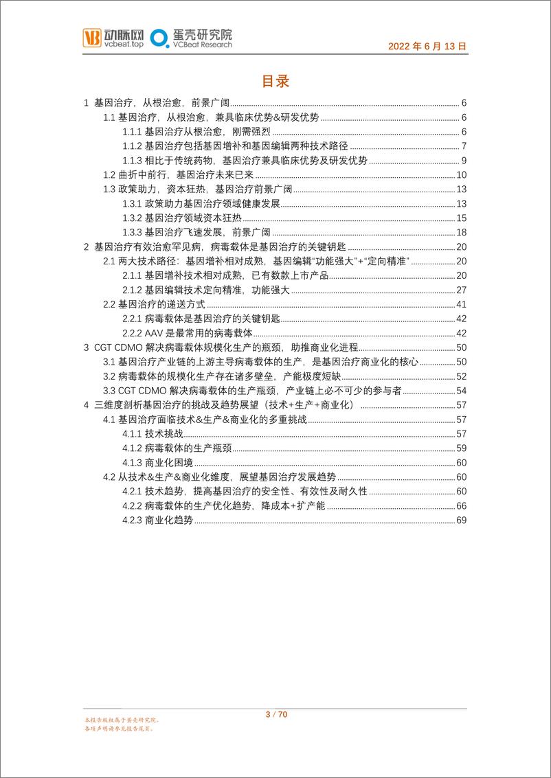 202206；《2022基因治疗行业报告》报告全文-70页 - 第4页预览图