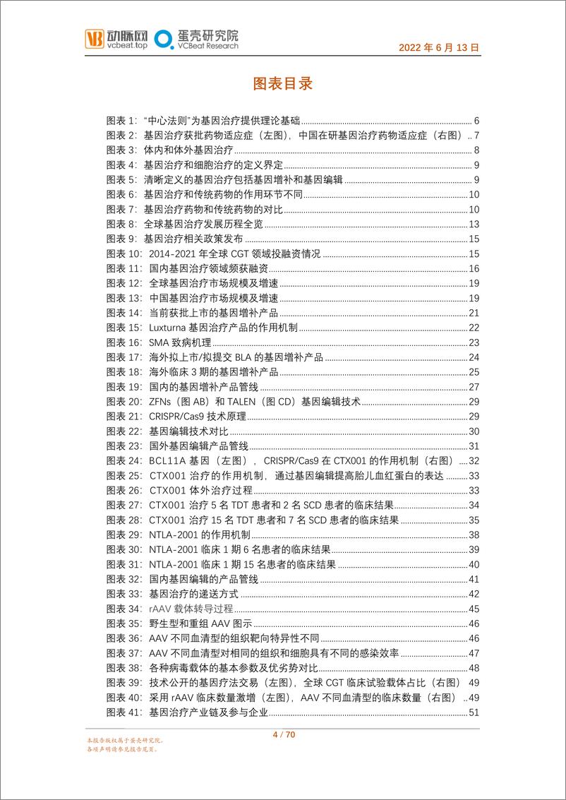 202206；《2022基因治疗行业报告》报告全文-70页 - 第5页预览图