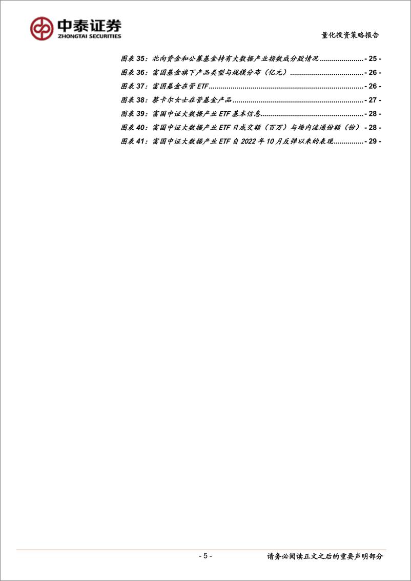 《富国中证大数据产业ETF投资价值分析：数据要素、AIGC 凸显新驱动力，大数据投资利器乘风破浪-20230228-中泰证券-31页》 - 第6页预览图