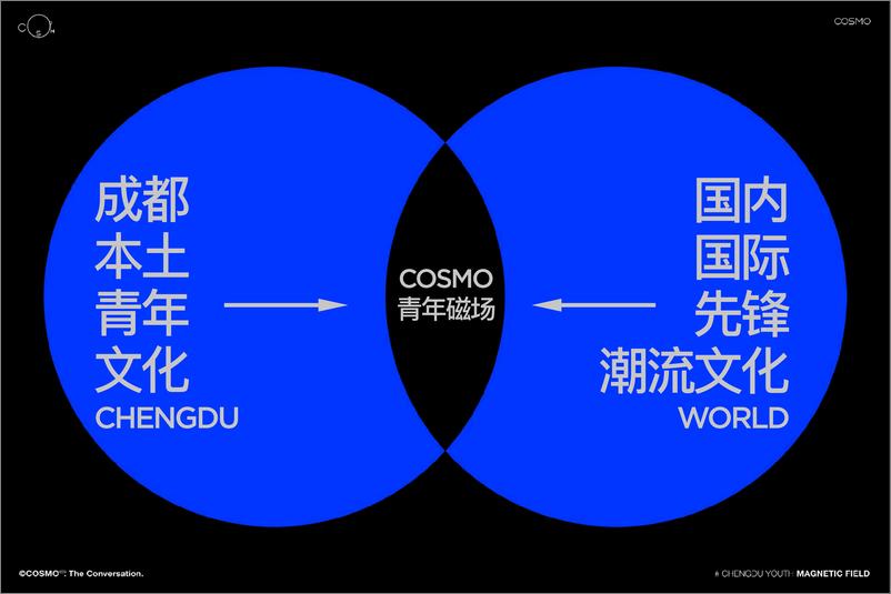 《成都COSMO项目手册》 - 第6页预览图