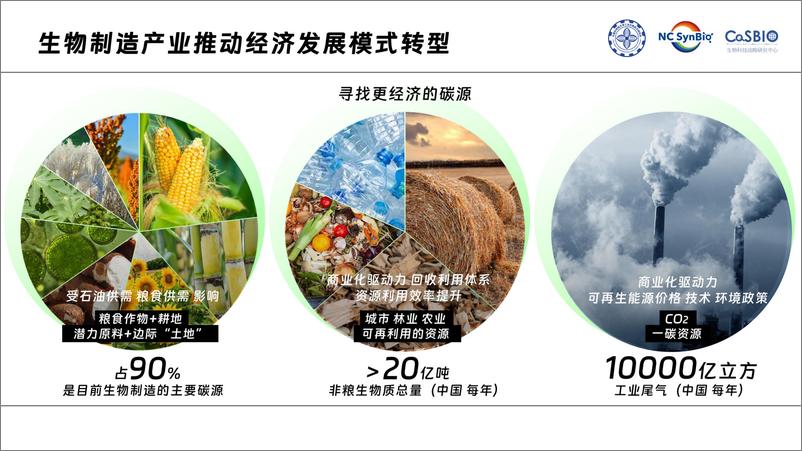 《2024中国工业生物技术发展白皮书》 - 第6页预览图