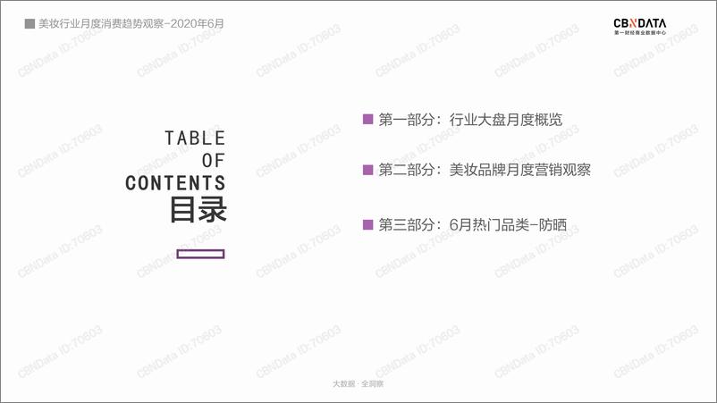 《【CBNData】2020年6月美妆行业月度消费趋势观察》 - 第2页预览图