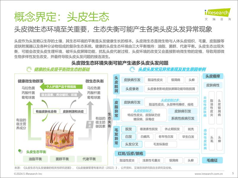 《艾瑞咨询：2024年中国脱发白发理疗产业洞察报告》 - 第5页预览图