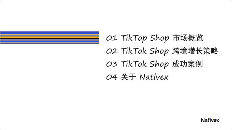 《0Nativex：TikTok Shop跨境电商增长宝典》 - 第2页预览图