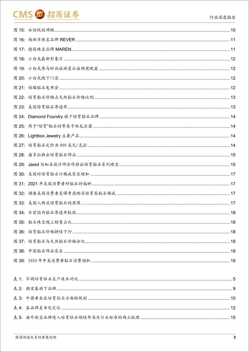 《轻工纺服行业培育钻石下游零售品牌布局深度报告：国内零售商加码培育钻石，悦己消费或成未来破圈方向-20221209-招商证券-20页》 - 第4页预览图