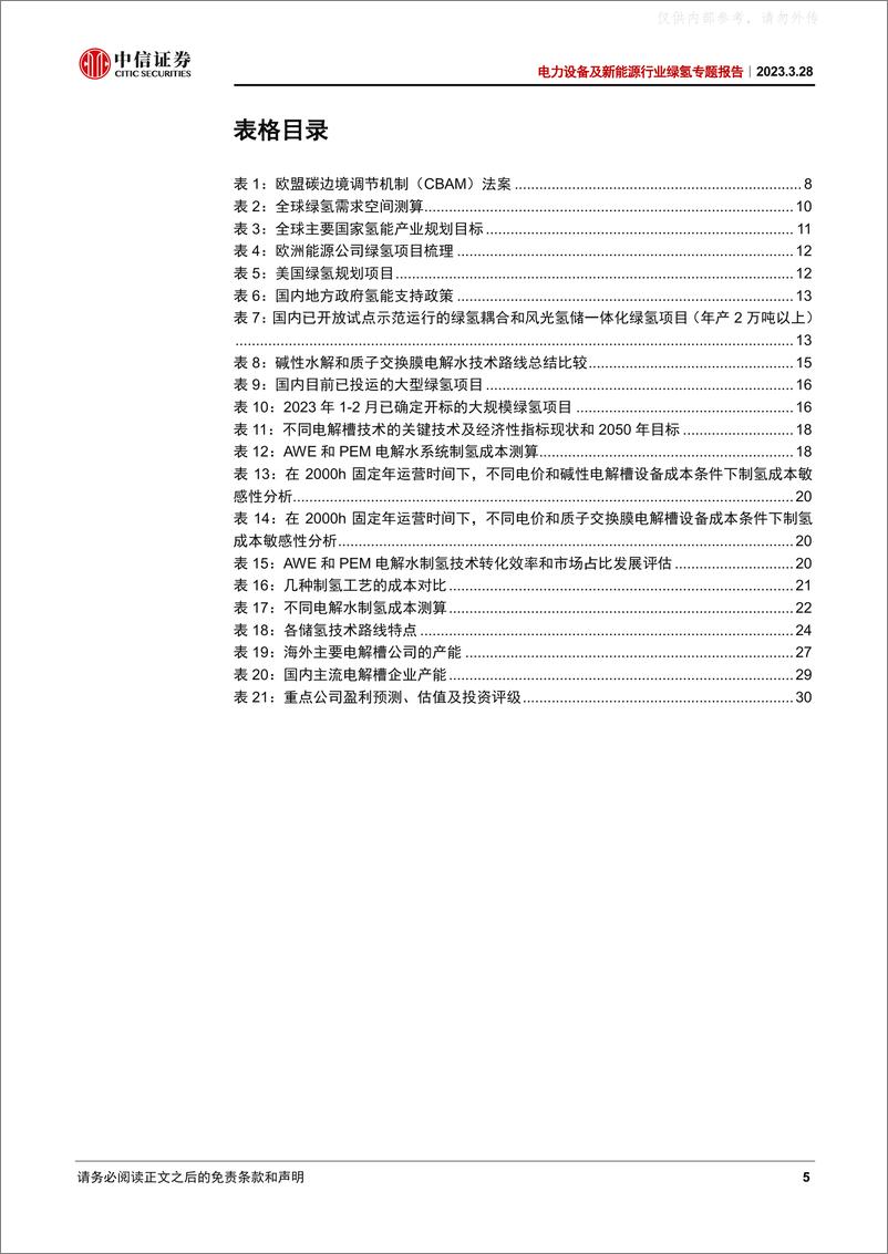 《中信证券-电力设备及新能源行业绿氢专题报告：风光无限好，绿氢布局时-230328》 - 第5页预览图