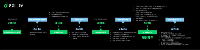 《梁丽丽：2024中国短剧行业发展生态总结》 - 第4页预览图