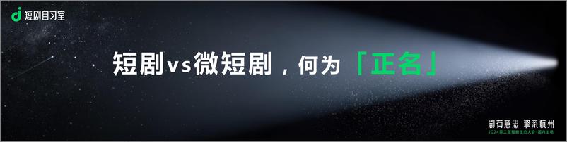 《梁丽丽：2024中国短剧行业发展生态总结》 - 第5页预览图