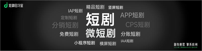 《梁丽丽：2024中国短剧行业发展生态总结》 - 第6页预览图