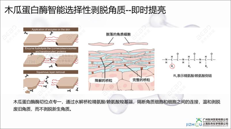 《核芯4D生物酶引领护肤新纪元-上海际舟化学》 - 第8页预览图