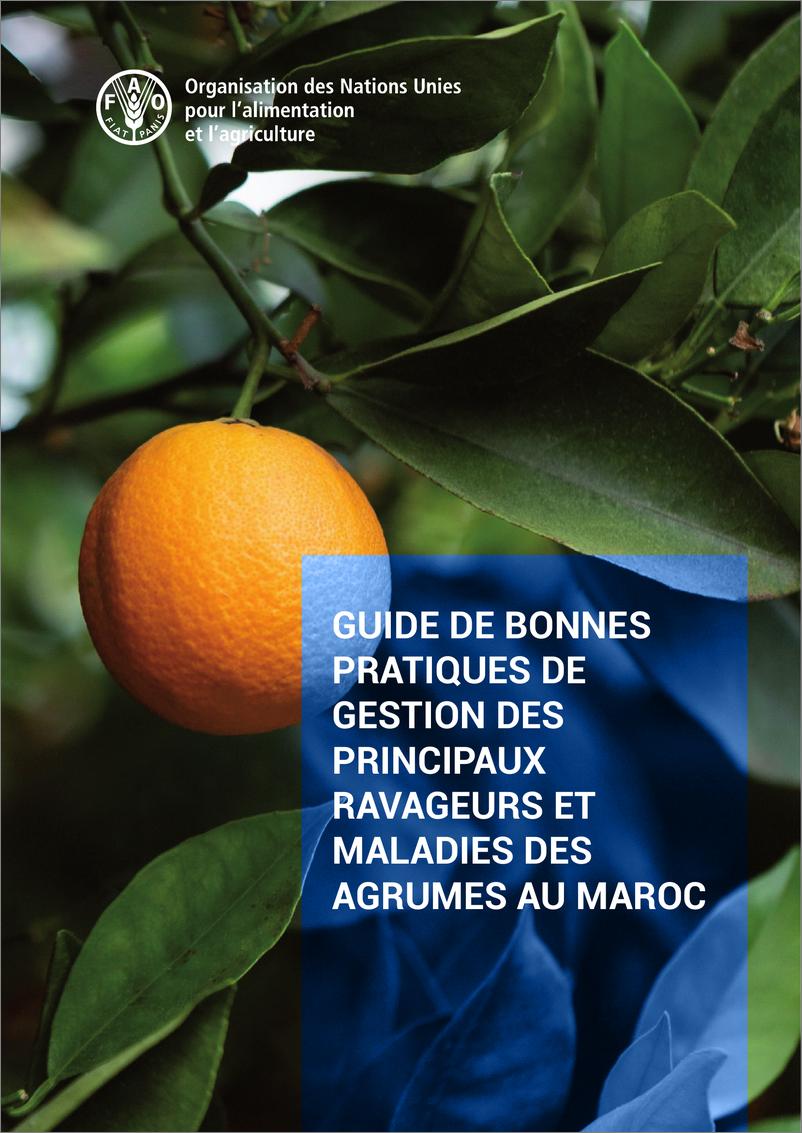 《FAO联合国粮农组织_2024年摩洛哥柑橘类水果主要病虫害良好管理规范指南报告_英文版_》 - 第1页预览图