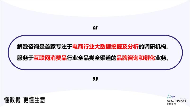 《2024年美妆-宠物赛道双十一大促总结复盘报告-解数咨询-34页》 - 第3页预览图