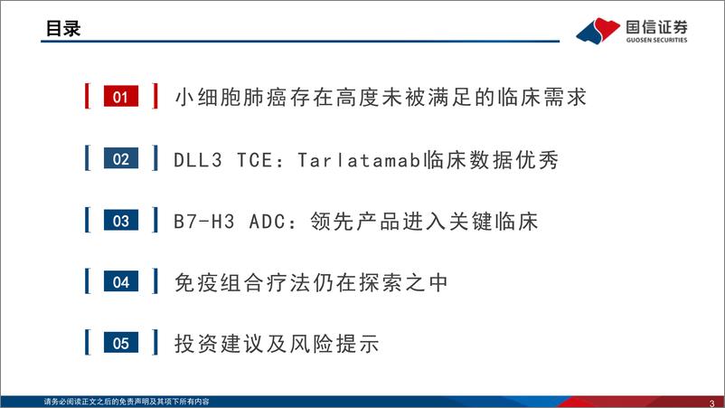 《医药生物行业寻找未被满足的临床需求(2)：小细胞肺癌，TCE、ADC有望改写治疗范式-240822-国信证券-55页》 - 第3页预览图