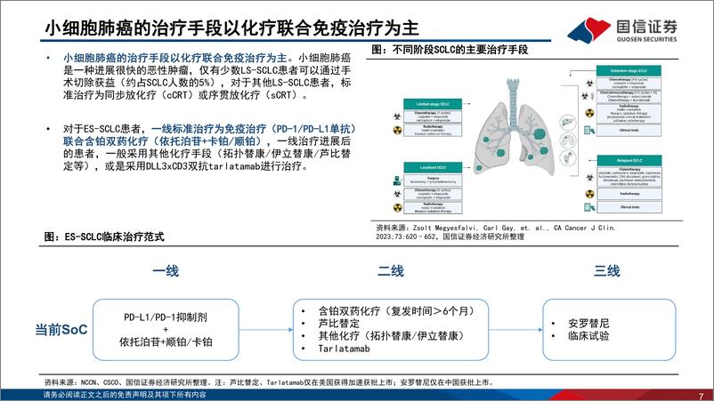 《医药生物行业寻找未被满足的临床需求(2)：小细胞肺癌，TCE、ADC有望改写治疗范式-240822-国信证券-55页》 - 第7页预览图