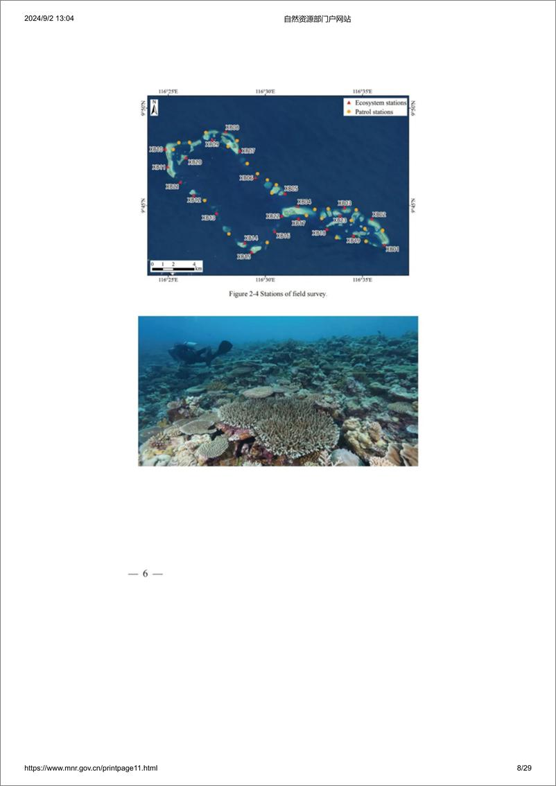 《自然资源部南海发展研究院_2024年仙宾礁珊瑚礁生态系统调查报告_英文版_》 - 第8页预览图